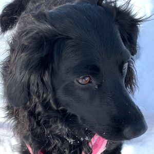 Meet your Posher, Alix